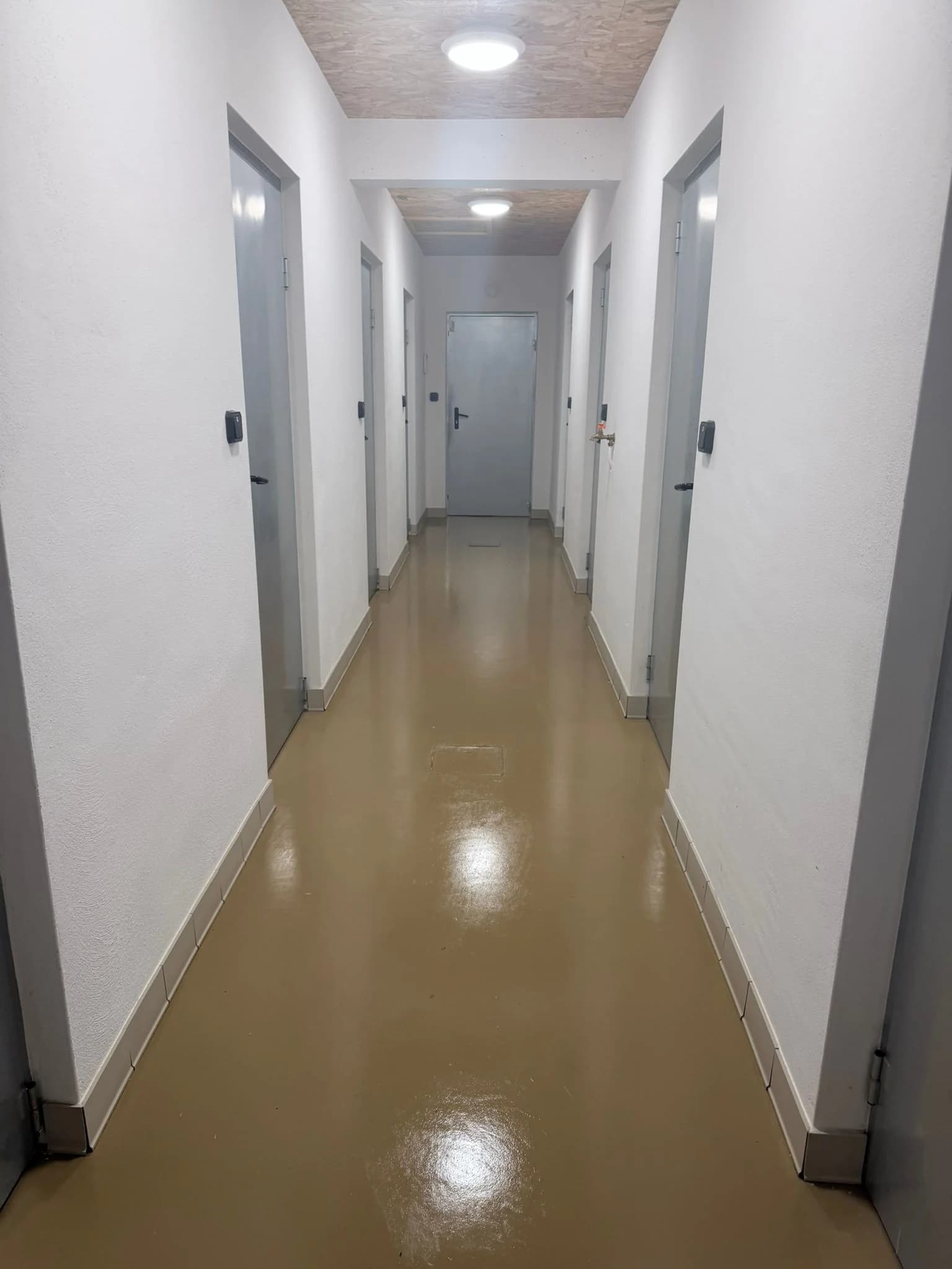 Nursery pour chiots teckels