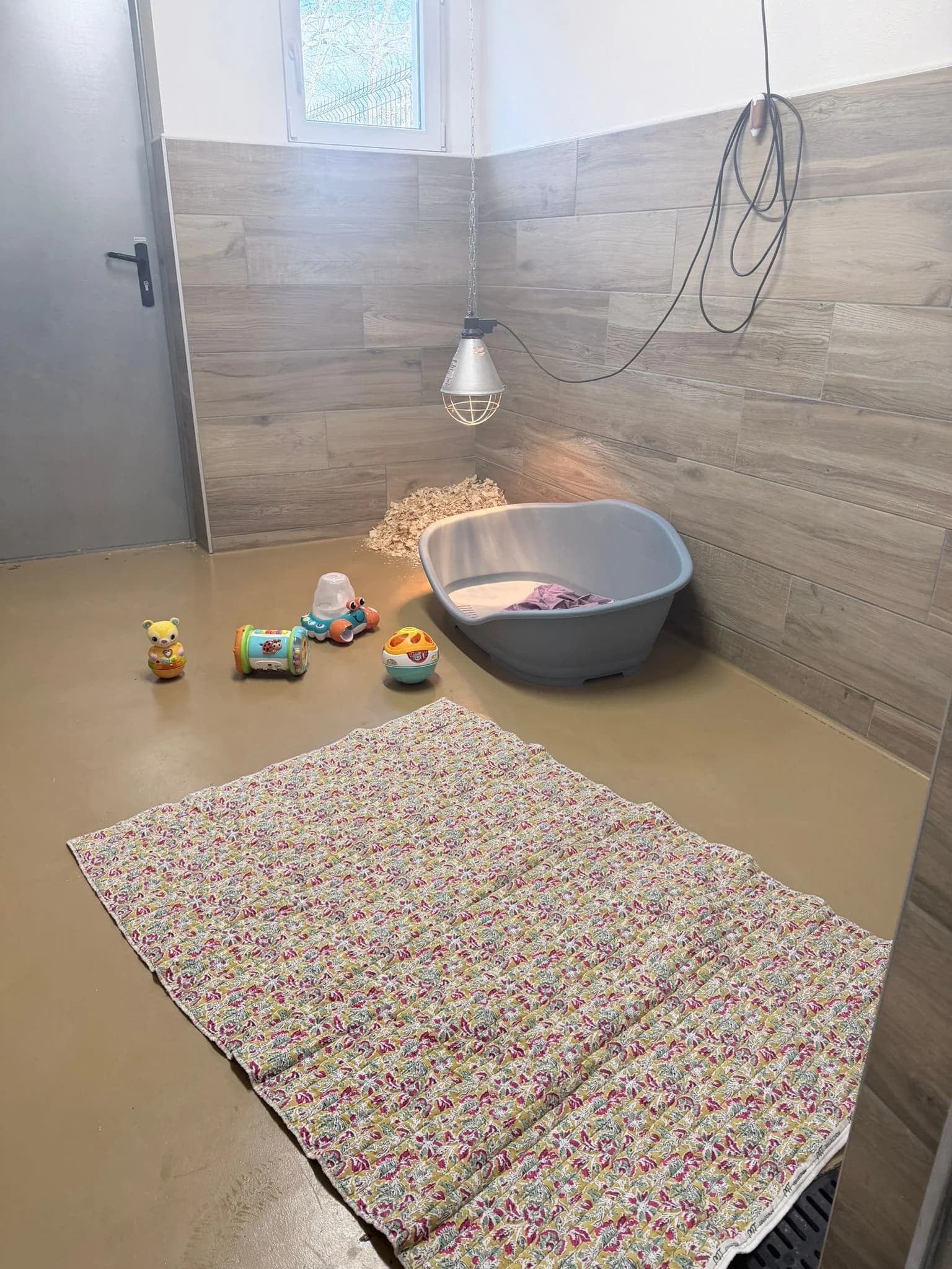 Jeux d'éveil pour chiots teckels